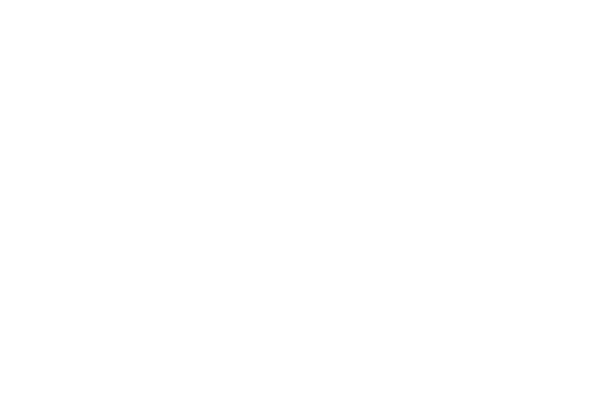 young travel group